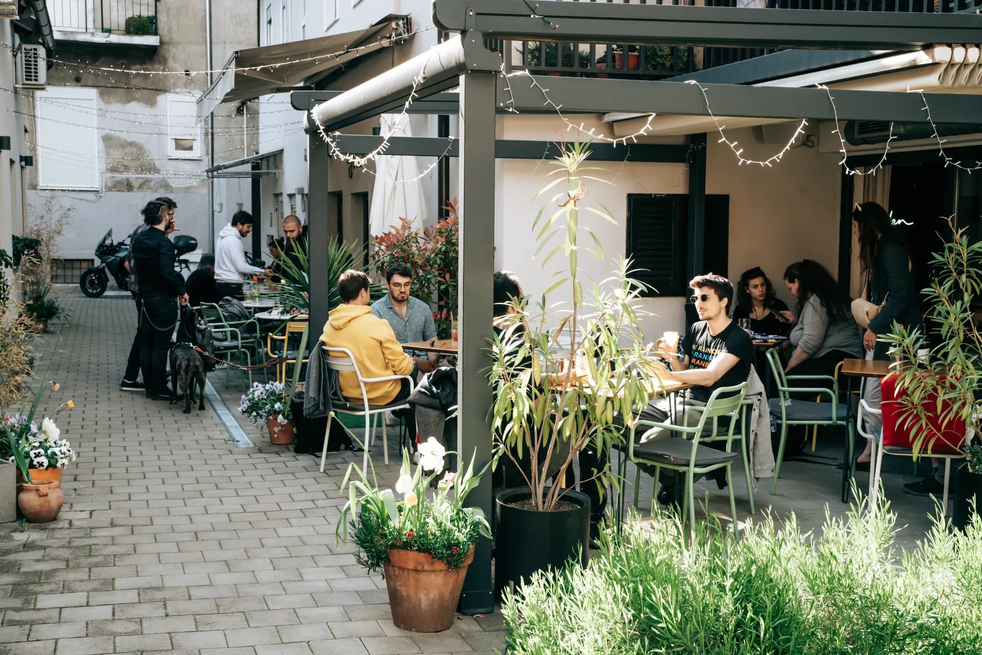 Tune In & Figa Garden